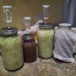 Intro to Fermenting Workshop