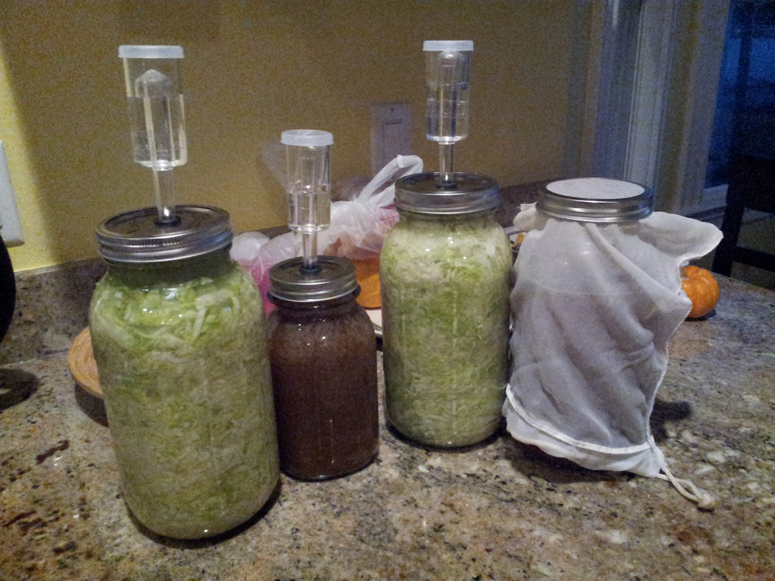 Intro to Fermenting Workshop