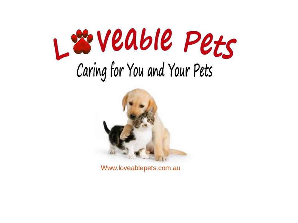 Loveable Pets